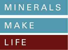 Minerals Make Life